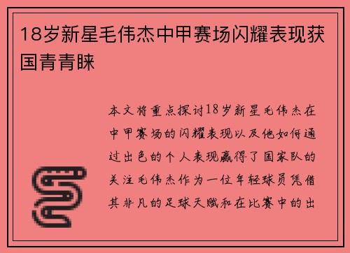 18岁新星毛伟杰中甲赛场闪耀表现获国青青睐